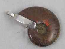 Appraisal: An opalescent ammonite pendant mounted with white metal tests silver