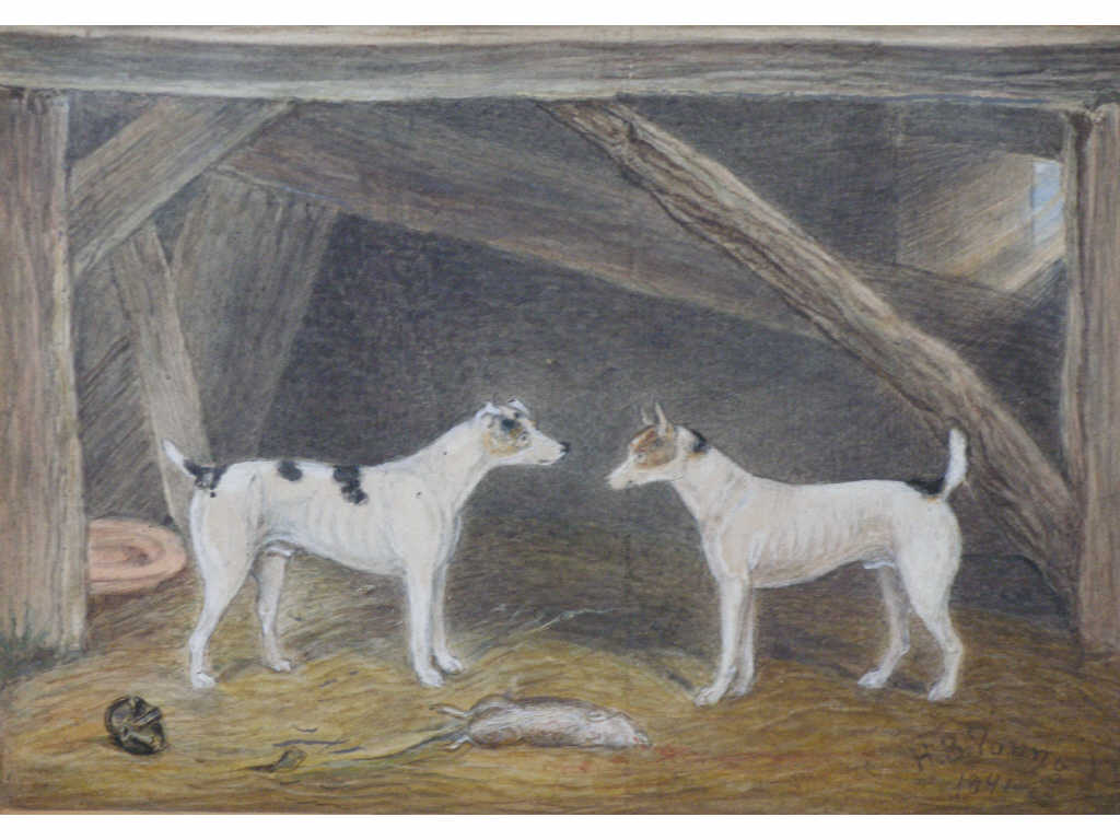 Appraisal: H B Young Am th c Rat Terriers watercolor and