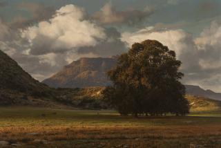 Appraisal: James A Fetherolf ''Days End In Laguna Canyon'' signed lower