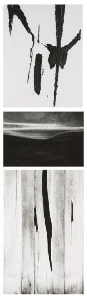 Appraisal: Minor White American b MN - three abstracts gelatin silver