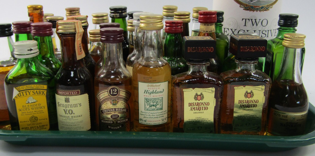 Appraisal: Various alcohol miniatures etc to include Disaronno Amaretto cm high