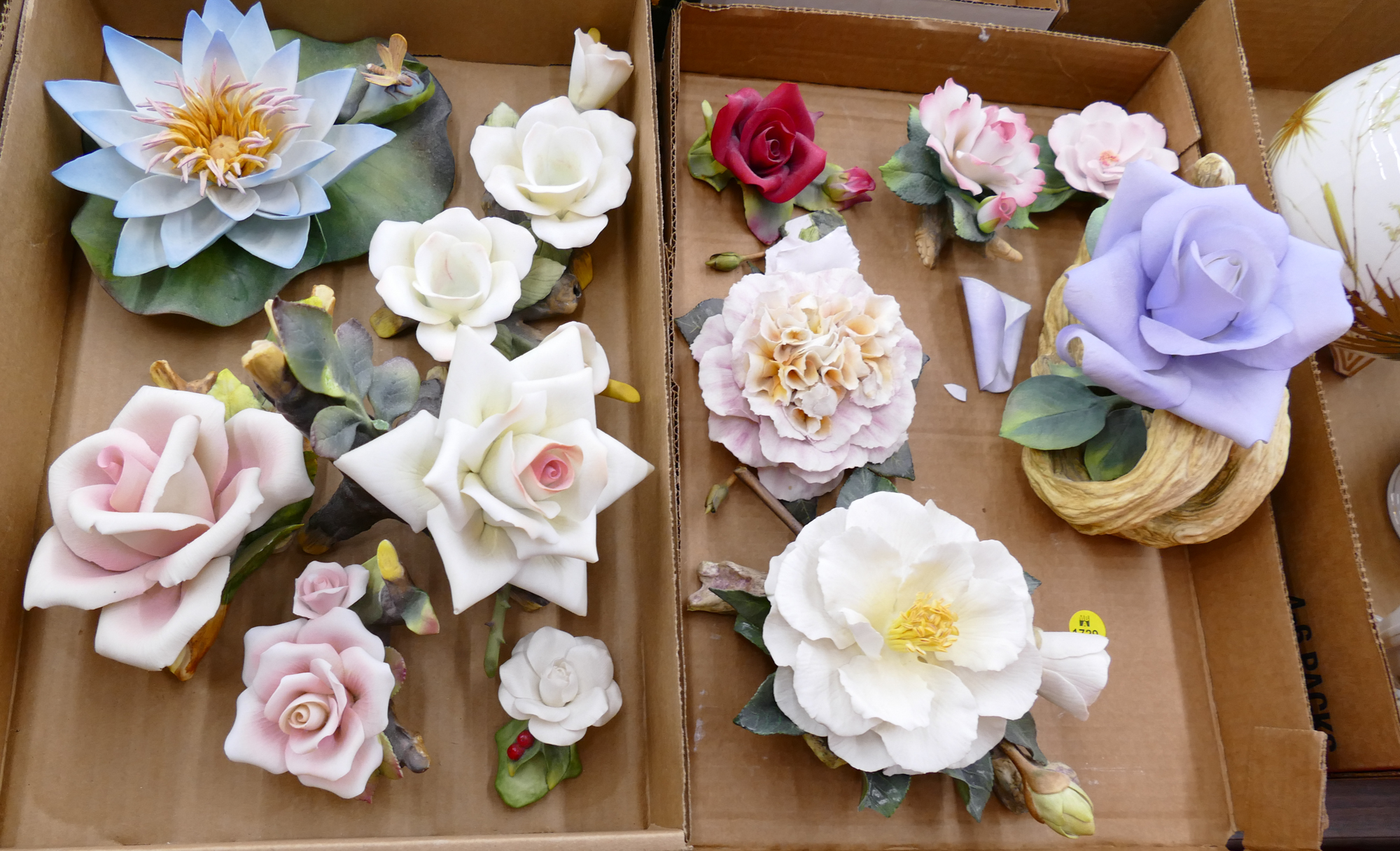 Appraisal: Boxes Boehm Porcelain Flowers As Is