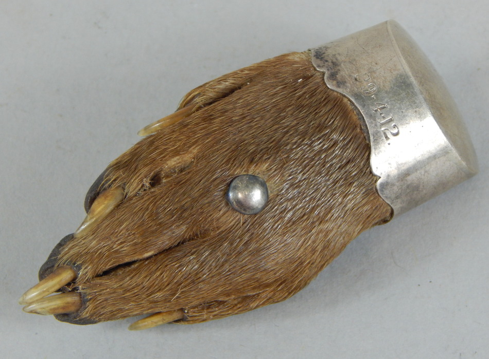 Appraisal: An animal claw brooch with silver mount and pin bearing