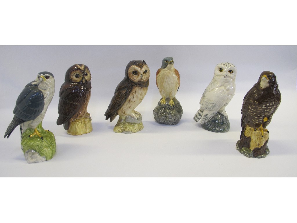 Appraisal: Six Beswick bird decanters including Snowy Owl Buzzard Merlin Tawny