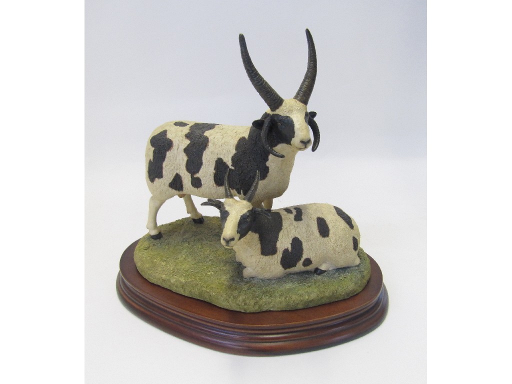 Appraisal: Border Fine Arts group 'Pair of Jacobs Sheep' four horned