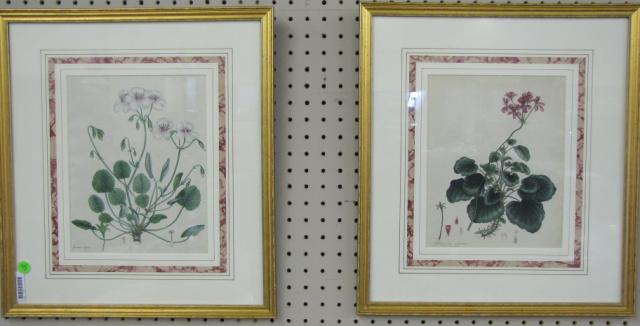 Appraisal: Pair of Antique Botanical Prints Framed hand colored copper plate