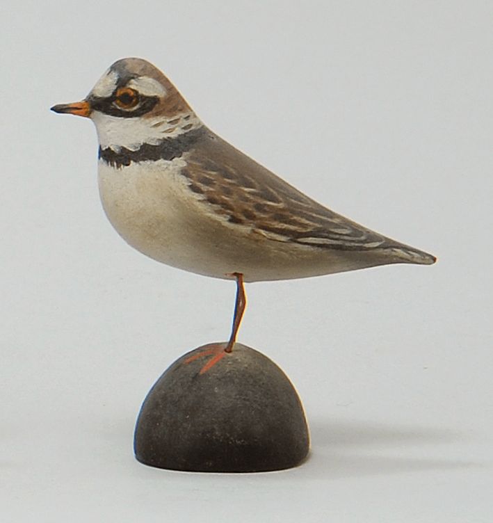 Appraisal: MINIATURE SEMIPALMATED PLOVER By Crowell of East Harwich Massachusetts Rectangular