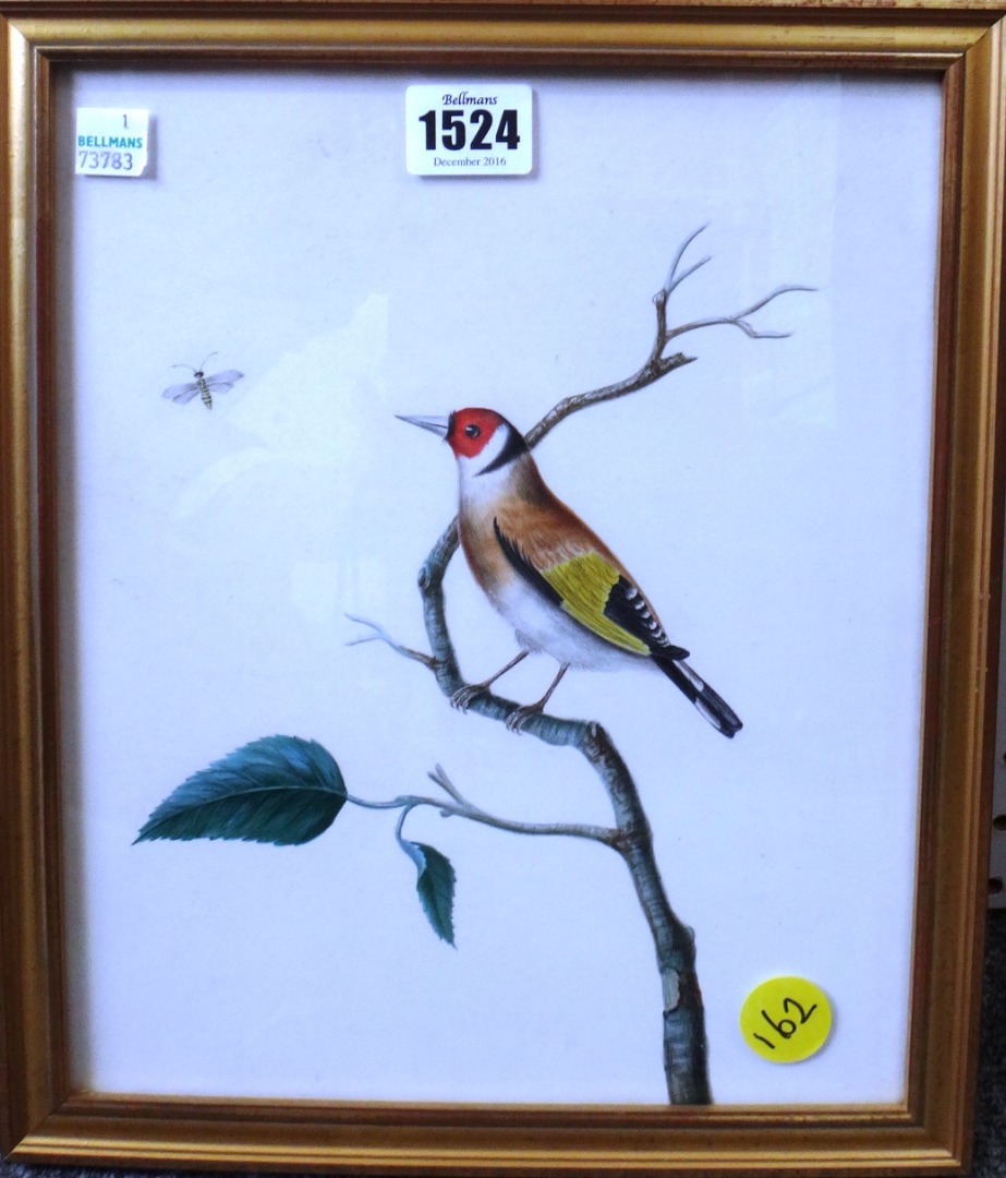 Appraisal: Circle of William Hayes Goldfinch watercolour cm x cm