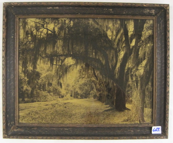 Appraisal: R H LESESNE OROTONE titled Arch Way of Oaks Daytona