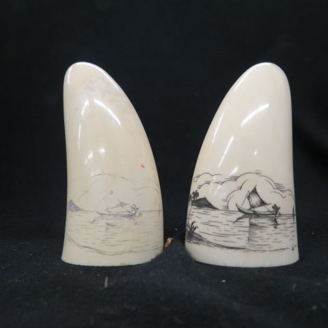 Appraisal: Pair of Scrimshaw Whale's Teeth salt pepper boats signed Lee