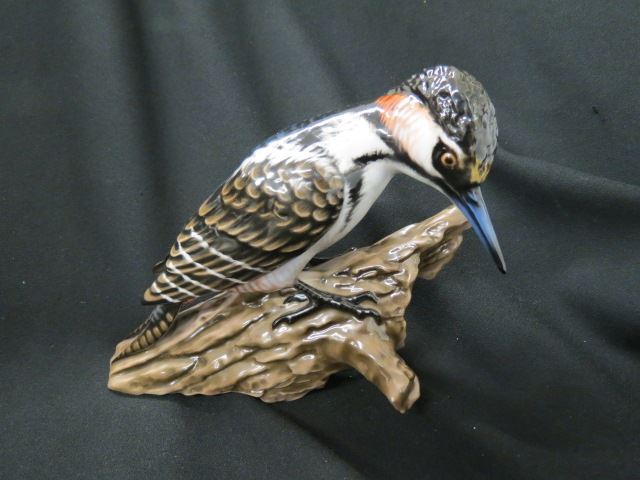 Appraisal: Rosenthal Porcelain Figurine of a Woodpecker excellent