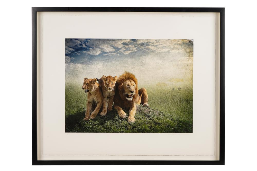 Appraisal: CHERYL MEDOW TH ST CENTURY THREE LIONSphoto pencil signed lower