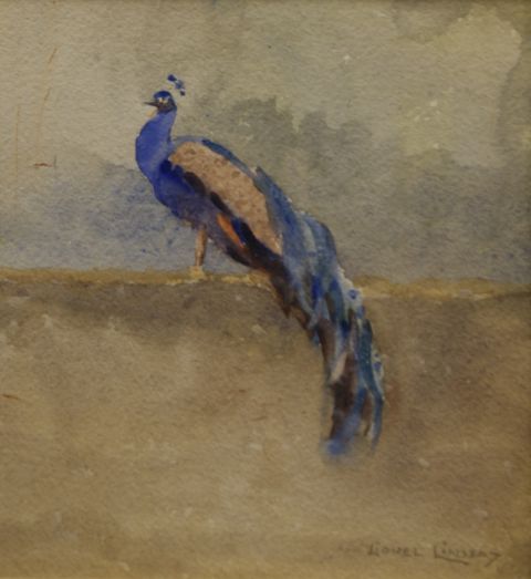 Appraisal: Lionel Lindsay - Peacock watercolour signed 'LIONEL LINDSAY' lower right