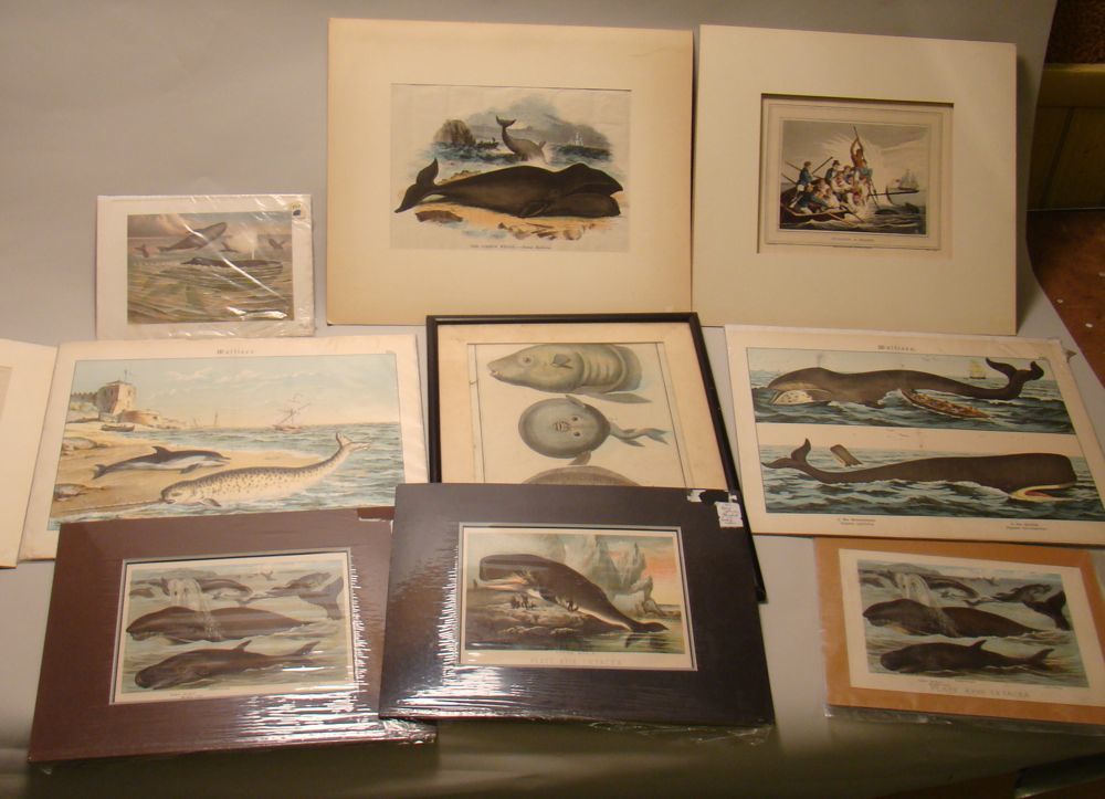 Appraisal: COLLECTION OF TEN COLORED PRINTS Mostly th CenturyMost depict whales