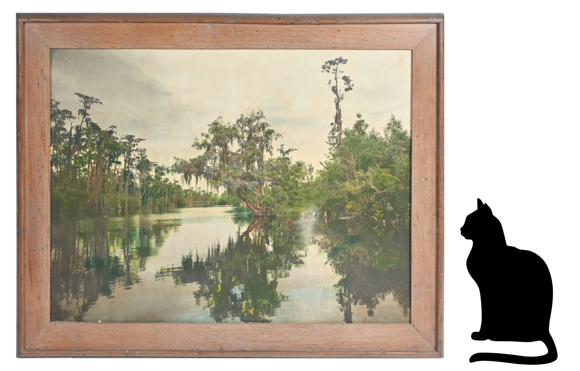 Appraisal: LARGE FORMAT EARLY FLORIDA RIVER TINTED PHOTOGRAPH Sight size ''