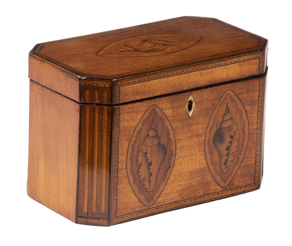 Appraisal: CONCH SHELL INLAID TEA CADDY th c English Mahogany Tea