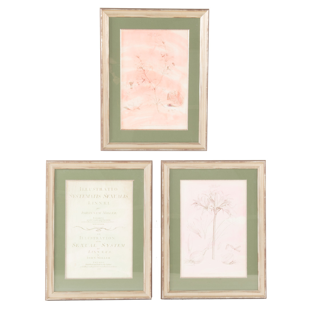 Appraisal: Three framed watercolor enchanced engravings from Illustratio Systematis Sexualis Linnaei