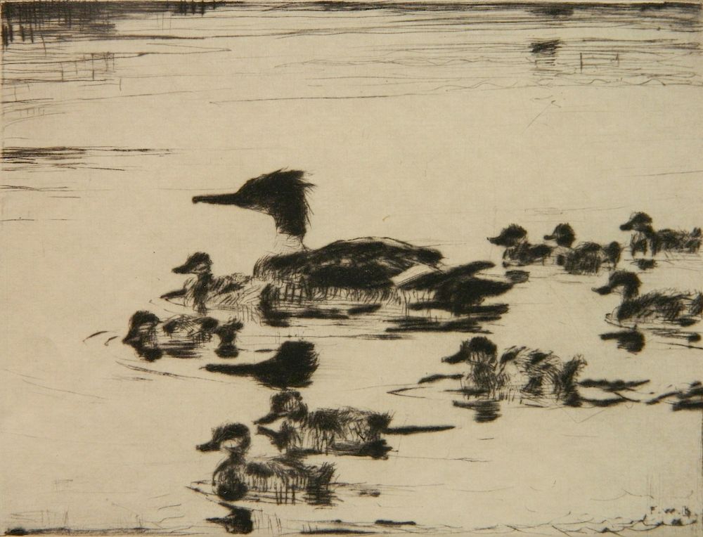 Appraisal: Frank Benson drypoint Frank W Benson American - - Sheldrake's