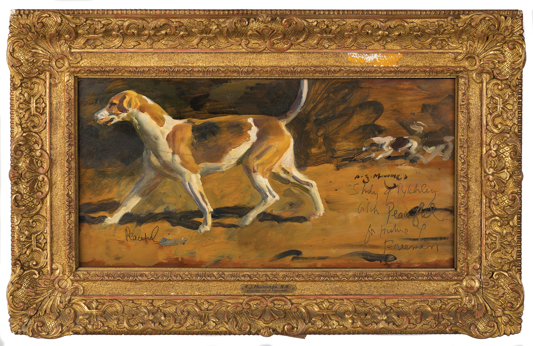 Appraisal: Sir Alfred James Munnings English - Study of a Hound