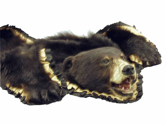 Appraisal: Excellent black bear rug superbly mounted with felt backing claws