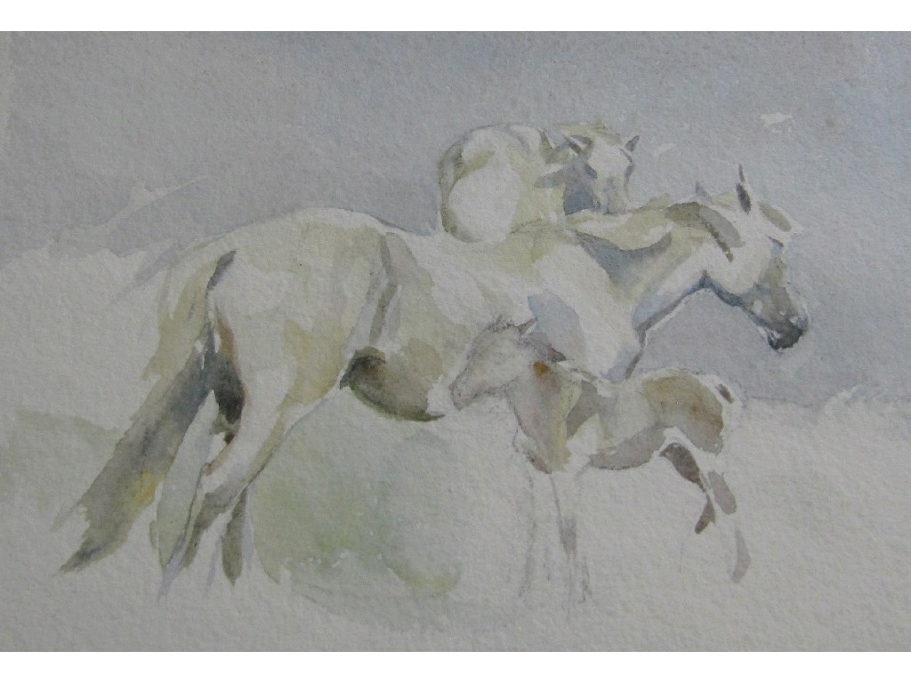 Appraisal: NANCY J BURTON RSW - Watercolour 'Horses and Foal' x