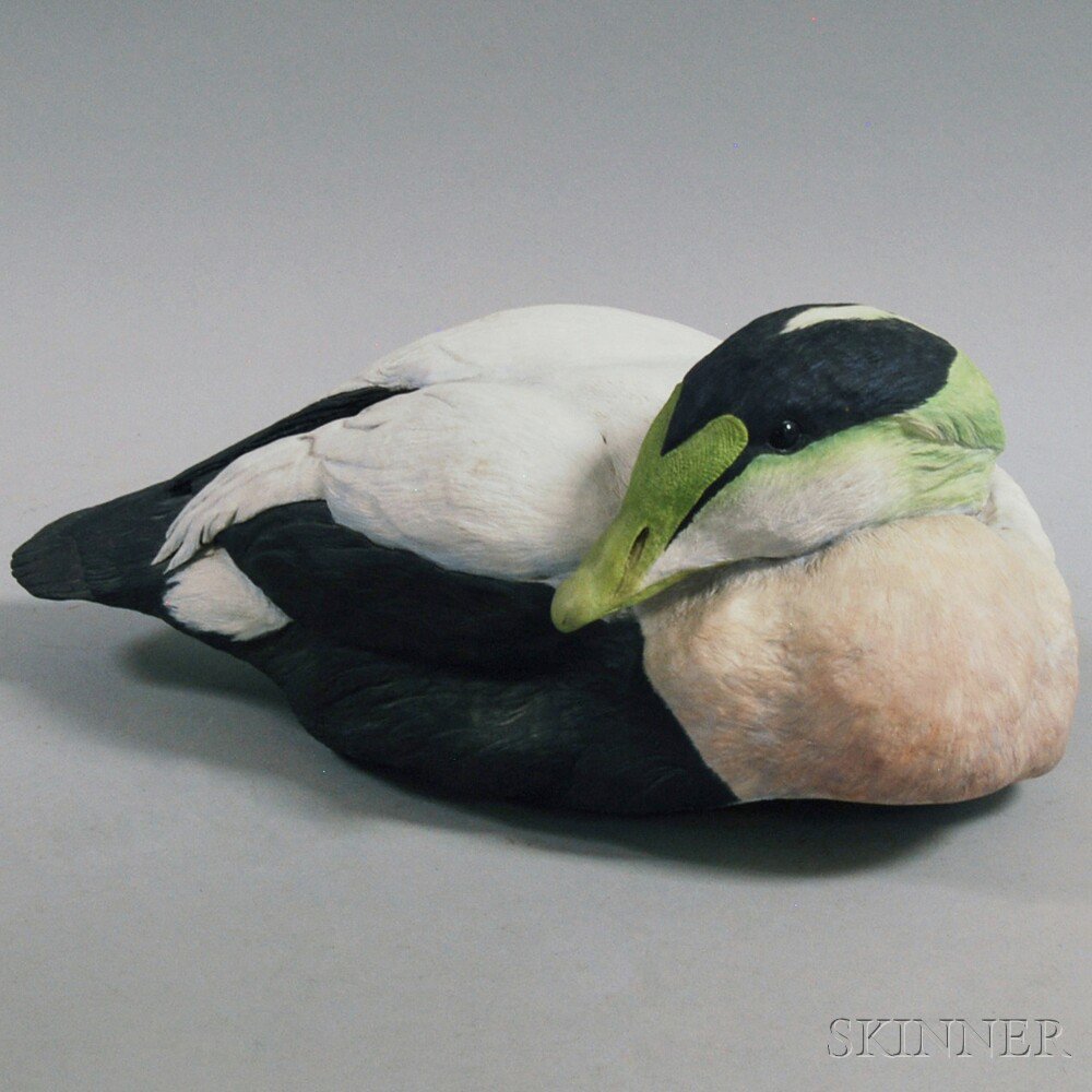 Appraisal: Carved Wooden and Painted Common Eider with composite stand signed