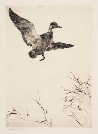 Appraisal: FRANK W BENSON Springing Teal Drypoint x mm x inches