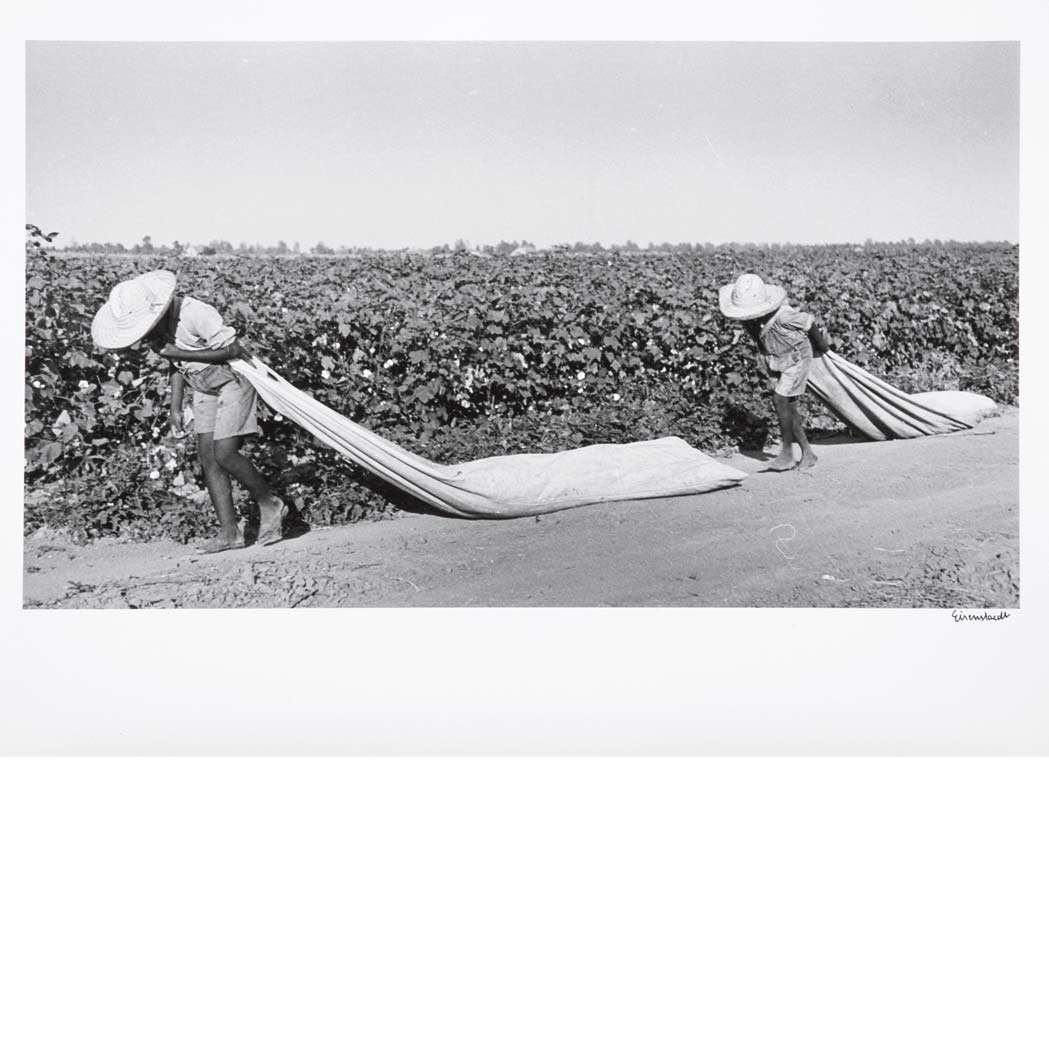 Appraisal: EISENSTAEDT ALFRED - Children of Lonnie Fair family picking cotton