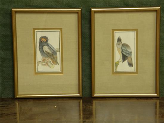 Appraisal: Pair of paintings on ivory of birds of prey unsigned