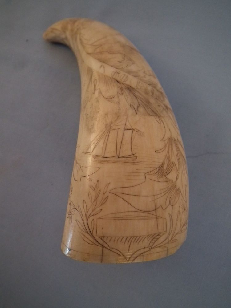 Appraisal: SCRIMSHAW WHALE TOOTH th century scrimshaw whale tooth with elaborate