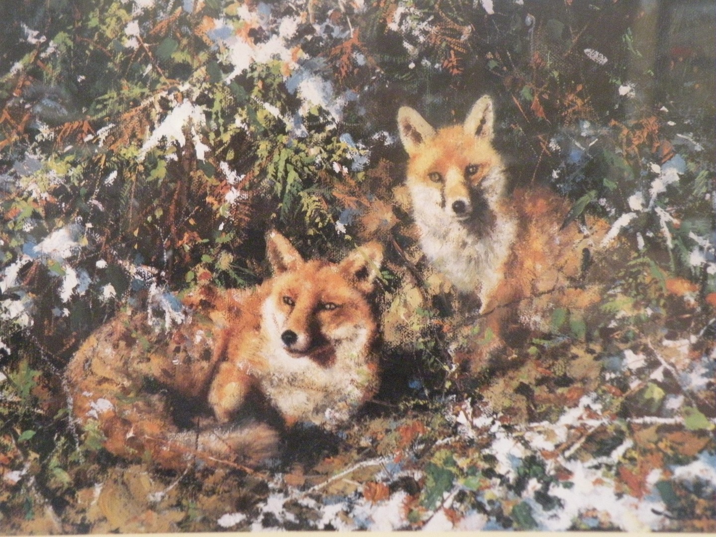 Appraisal: David Shepherd Winter Foxes limited edition print no signed cm