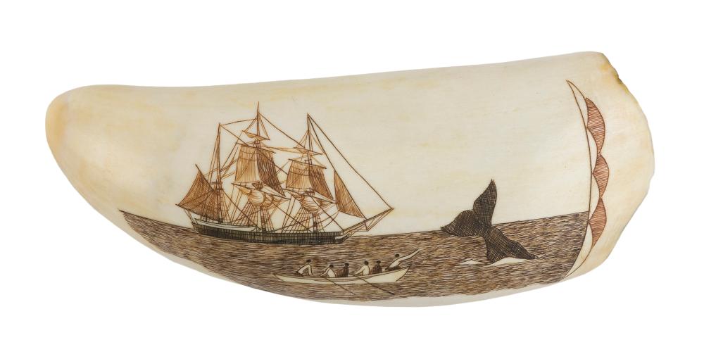 Appraisal: POLYCHROME ENGRAVED WHALE'S TOOTH BY ROBERT SPRING TH CENTURY LENGTH