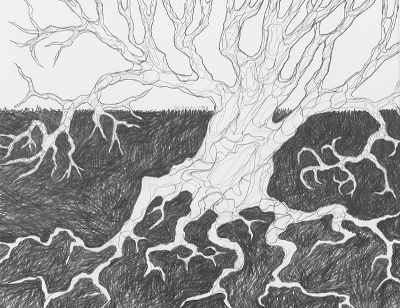 Appraisal: David Dew Bruner American b Live Oak Project Graphite on