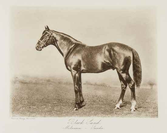 Appraisal: Hailey Clarence Stallions Illustrated parts in vol first edition photogravure