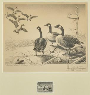 Appraisal: Two Federal Duck Stamps and Prints Two Federal Duck Stamps