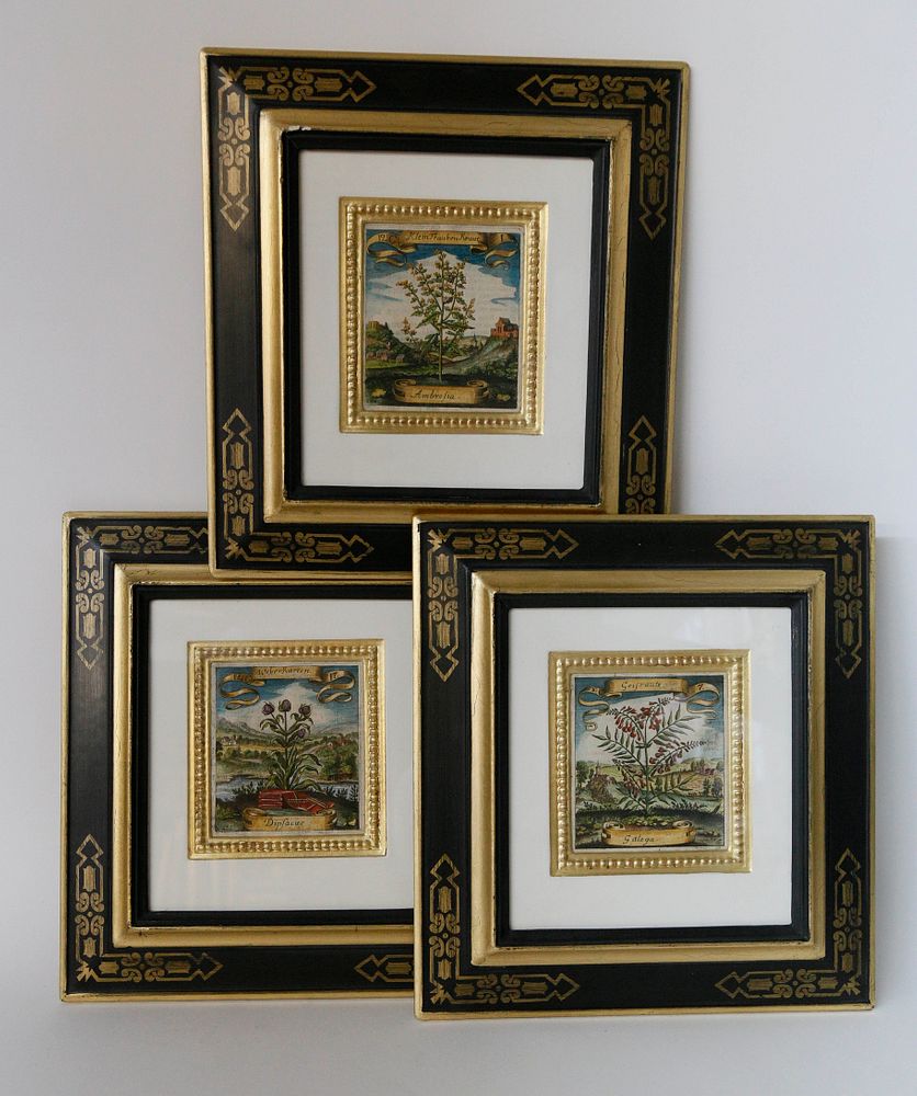 Appraisal: Set of Three German Hand-Colored Floral Engravings th c Set