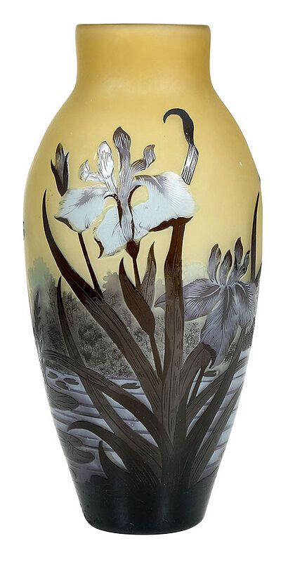 Appraisal: Iris and Dragonfly Cameo Art Glass Vase th century cameo