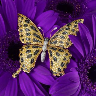 Appraisal: A Yellow Diamond Butterfly Brooch With K yellow gold wings