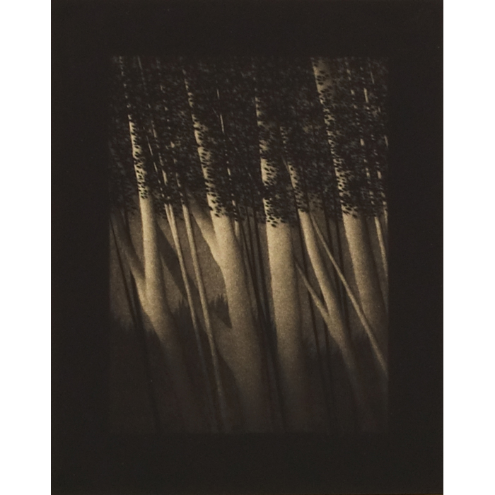 Appraisal: Robert Kipniss American b Garden Shadows mezzotint x pencil signed