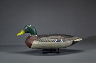 Appraisal: Mallard Drake Walter H Tube Dawson Mallard DrakeWalter H Tube