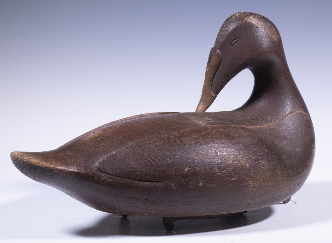 Appraisal: VINTAGE EIDER HEN DECOY Carved and Painted Preening Eider Hen