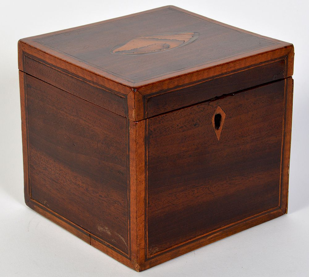 Appraisal: Regency Tea Caddy with Conch Shell Inlay Regency tea caddy