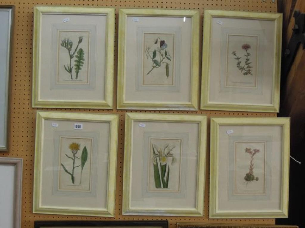 Appraisal: A set of six late th century coloured engravings of