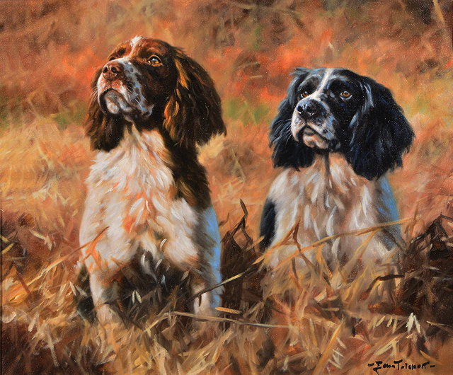 Appraisal: JOHN TRICKETT b Awaiting orders Springer Spaniels in a wooded