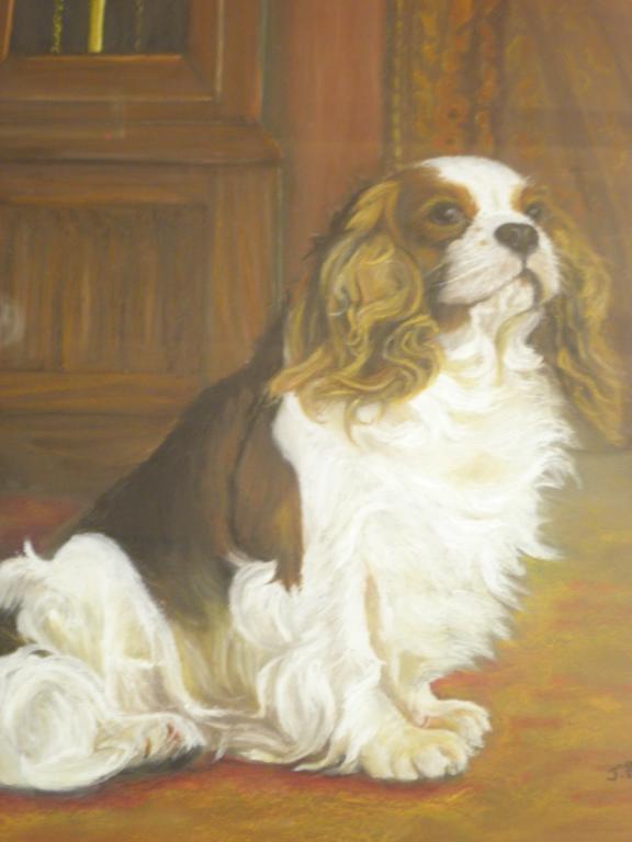 Appraisal: Jennifer Boddy thC King Charles Spaniel PastelSigned cm x cm