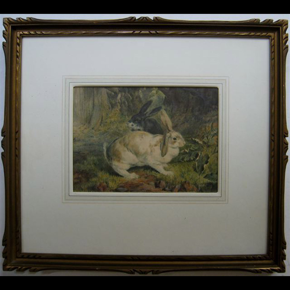 Appraisal: RABBITS IN A WOOD ATTRIBUTED TO A M WILLIAMS TH