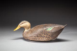 Appraisal: Black Duck BY The Ward Brothers Lemuel T Black DuckThe