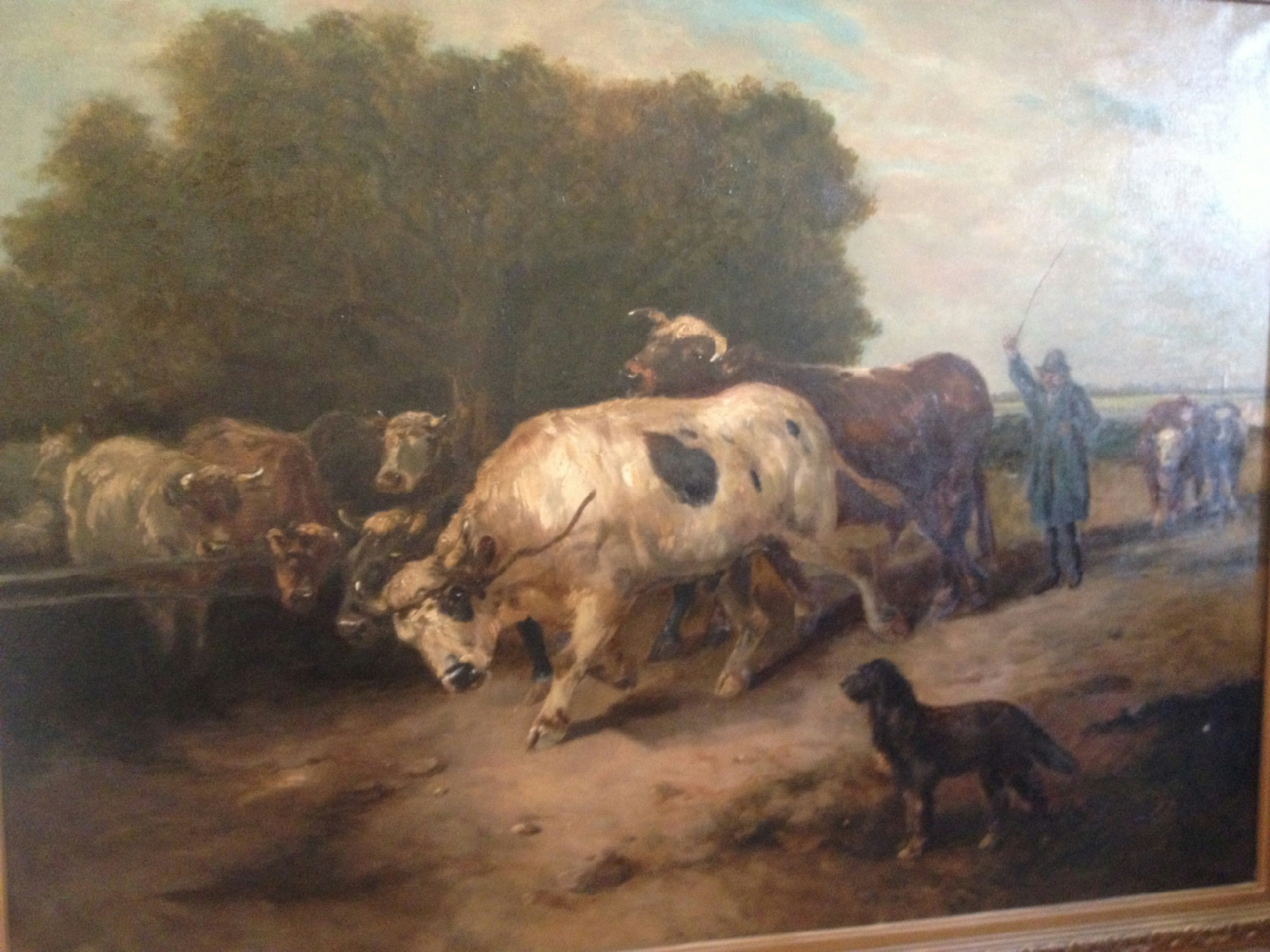 Appraisal: British School Cattle with drover and dog oil on canvas