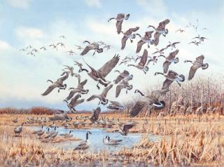 Appraisal: Owen Gromme - Horicon Marsh - Canada Geese signed and