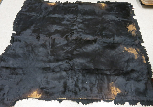 Appraisal: VINTAGE BLACK BEAR SKIN SLEIGH BLANKET American late th early